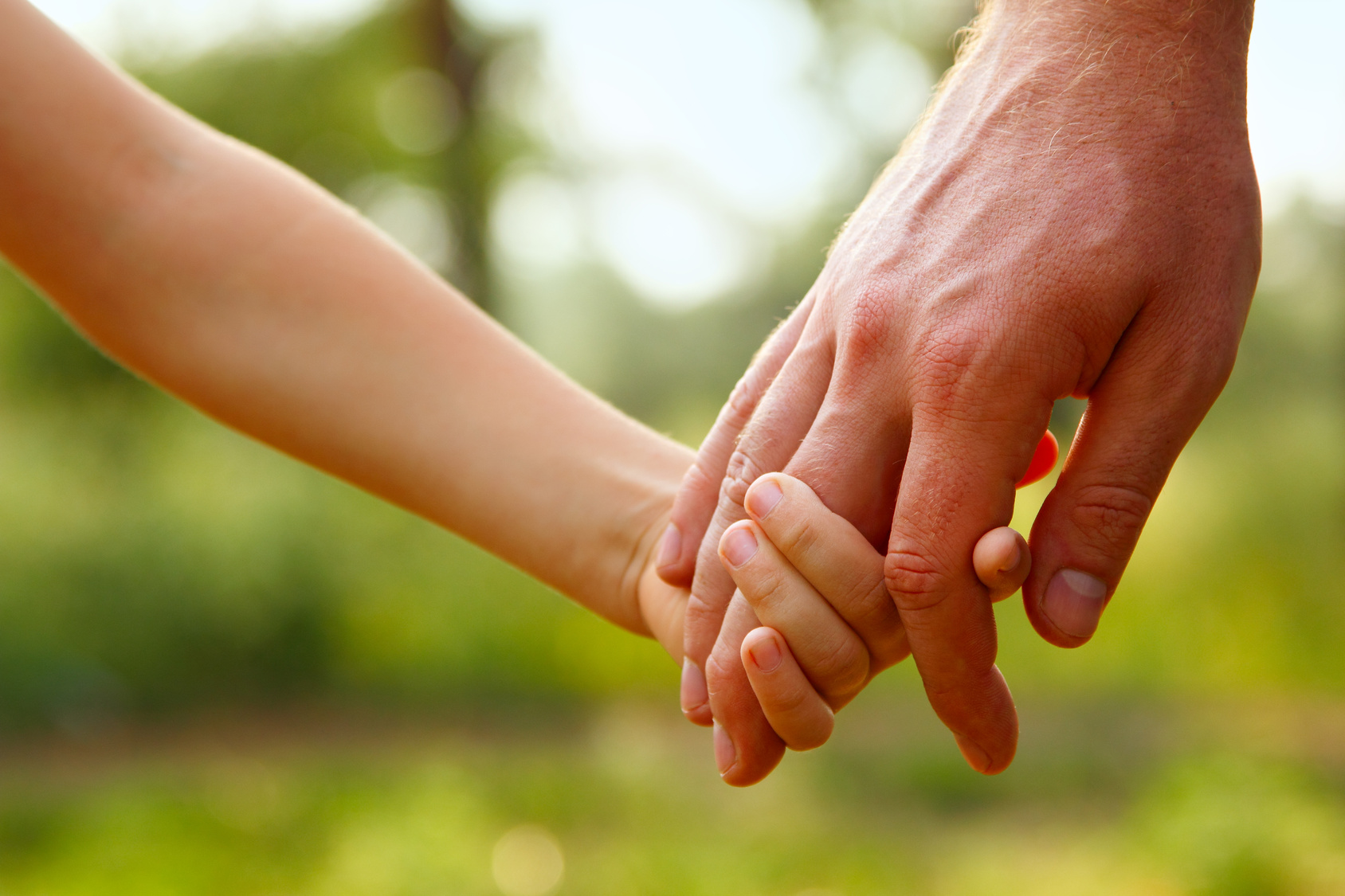 father’s hand lead his child son in summer forest nature outdoor