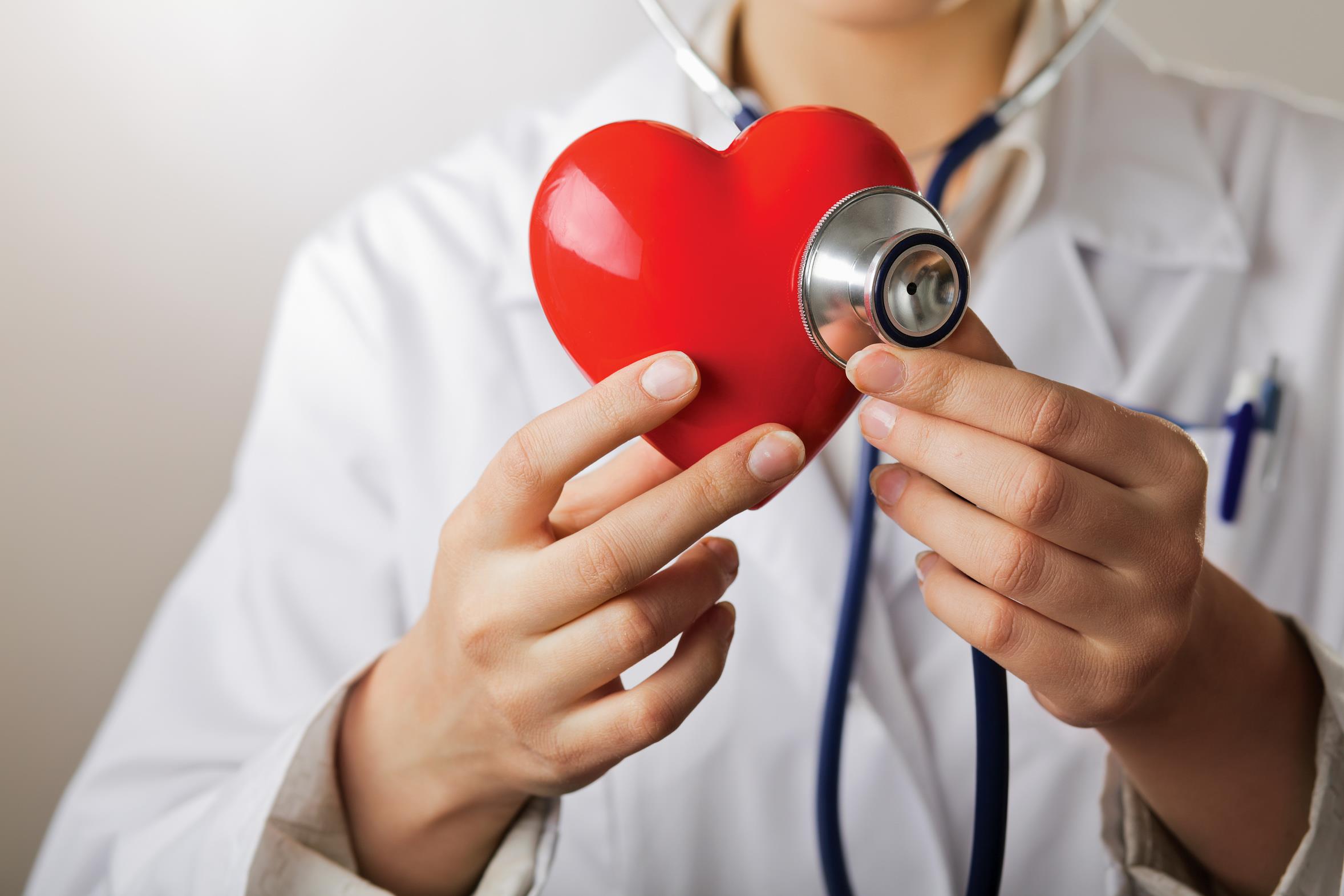 A doctor with stethoscope examining red heart, isolated on white background