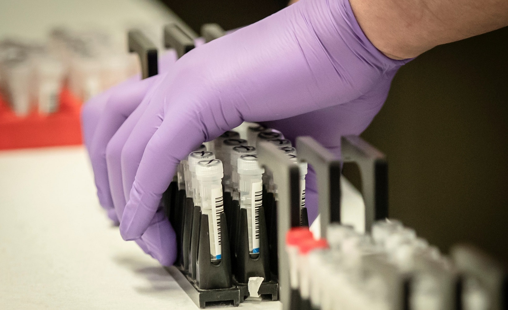 Samples are tested for respiratory viruses during a visit by Britain’s Chancellor of the Exchequer Rishi Sunak to the pathology labs at Leeds General Infirmary, in Leeds