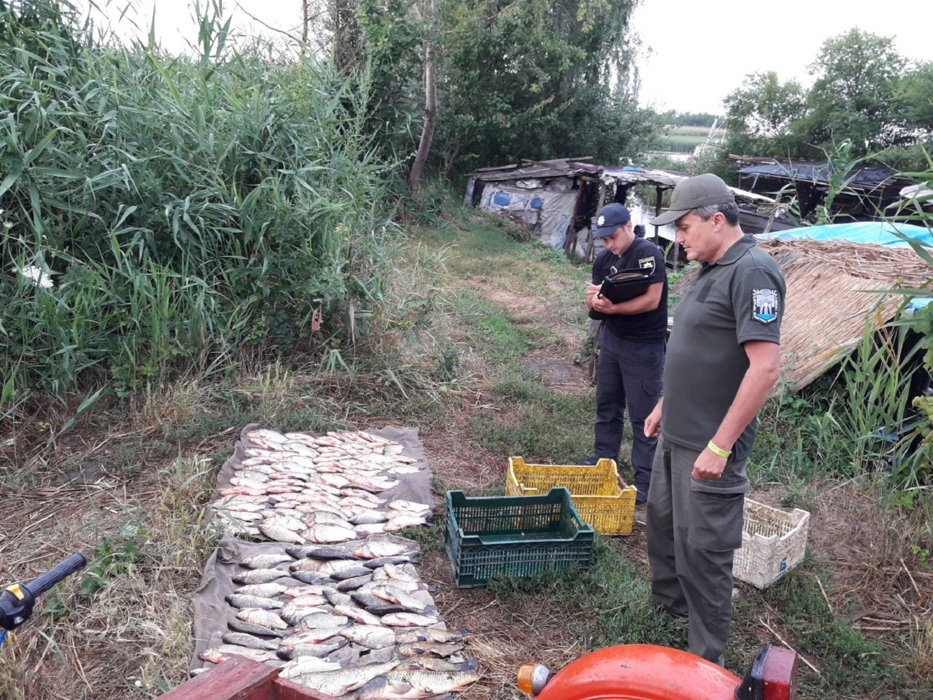 У Полтавській області за порушення природоохоронного законодавства стягнули 3 мільйони гривень