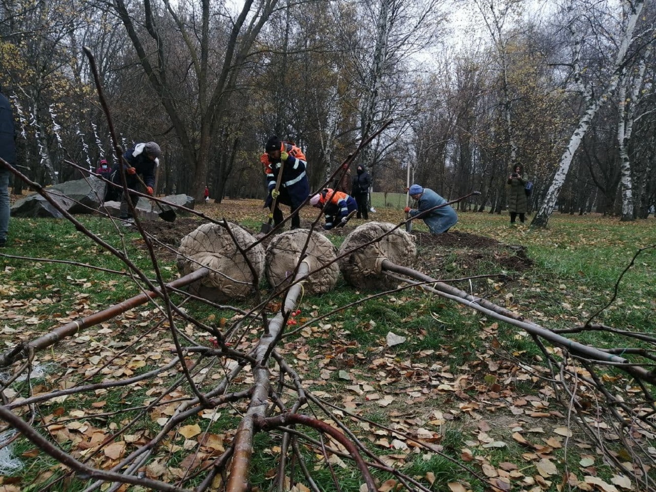 Волонтери висадили горобину на знак пам’яті жертв розстрілів