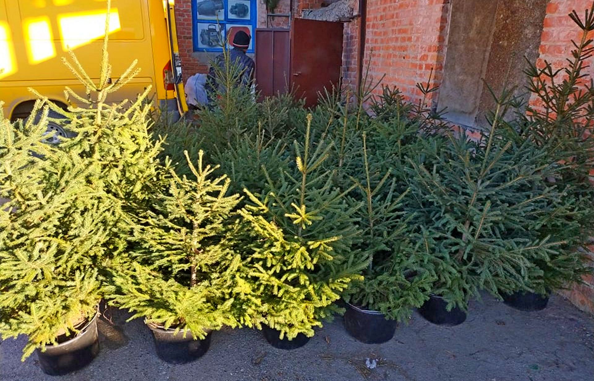 Ілюстративне фото
