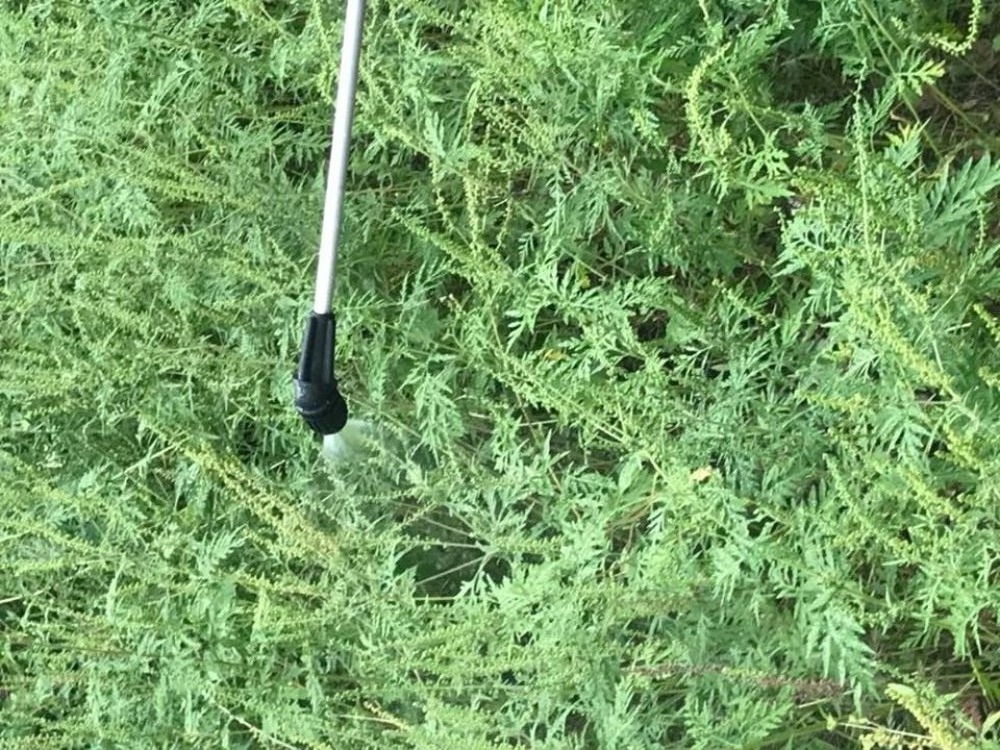 Гармата з бішофітом (Джерело – КП по УНЗ Дніпровського району в facebook)