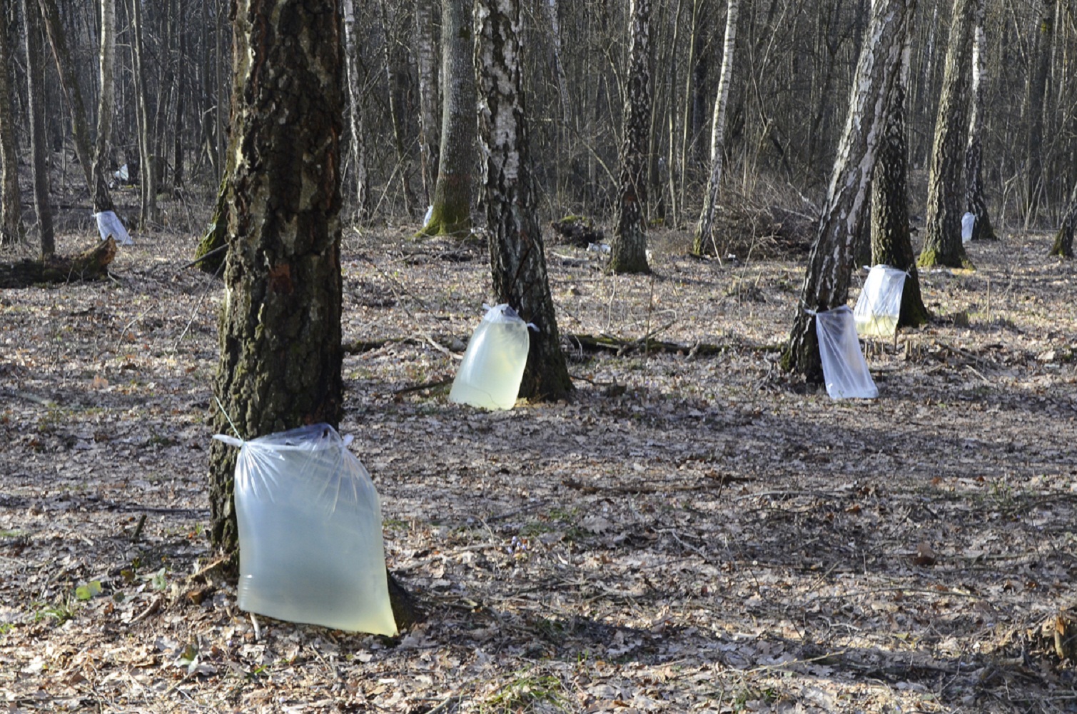 Ілюстративне фото