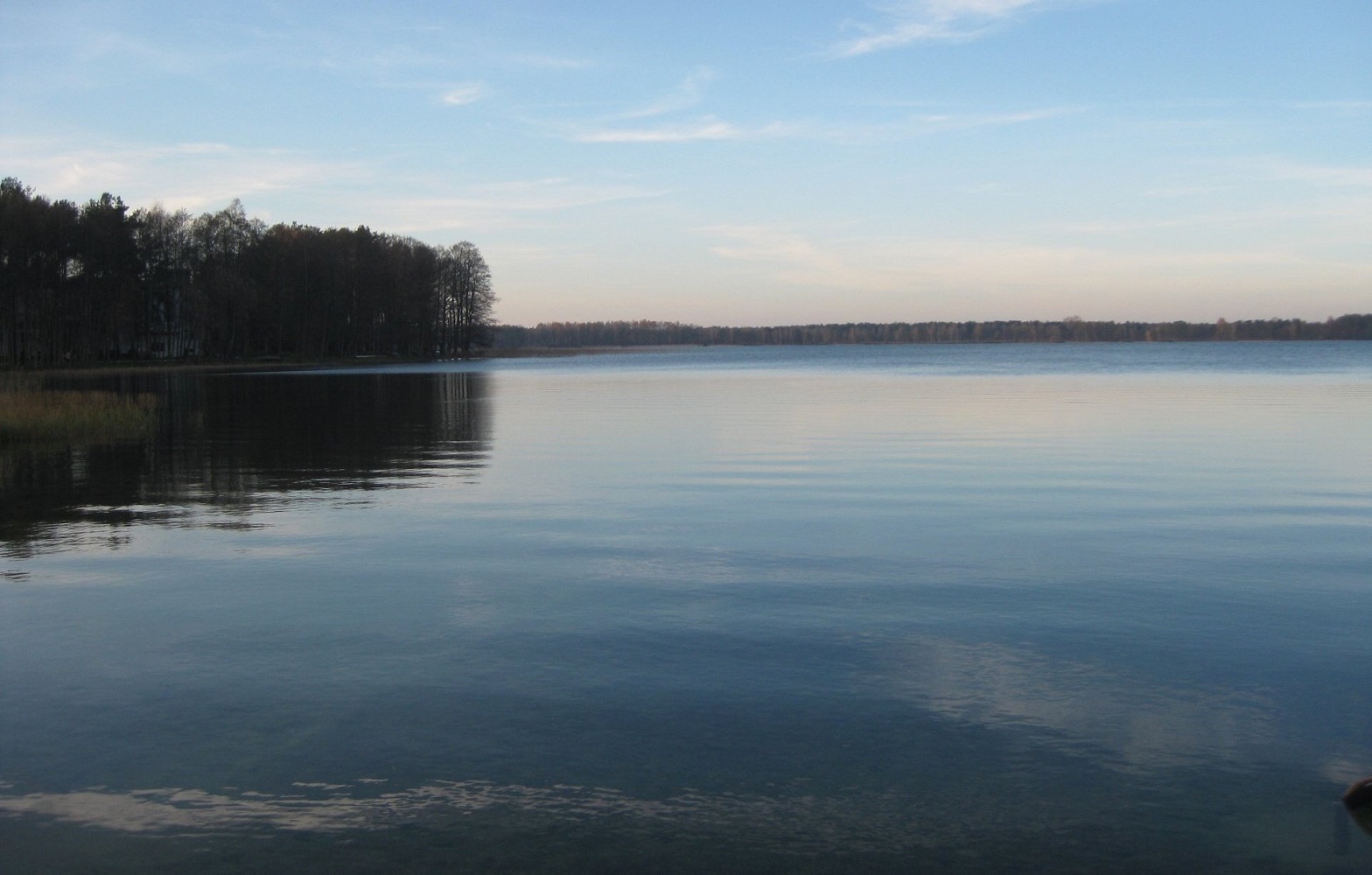 Ілюстративне фото