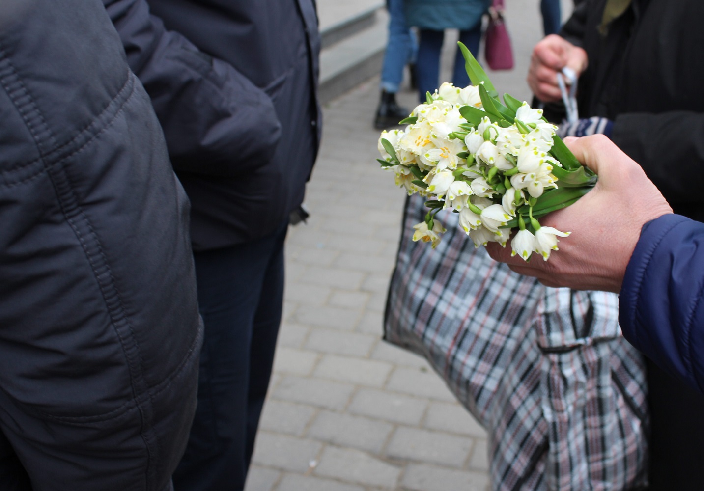 Продаж первоцвітів на Полтавщині: суми штрафів