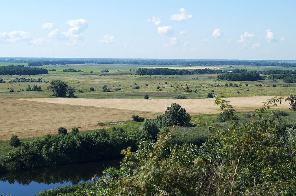 Руський Орчик (Джерело - uk.wikipedia.org)