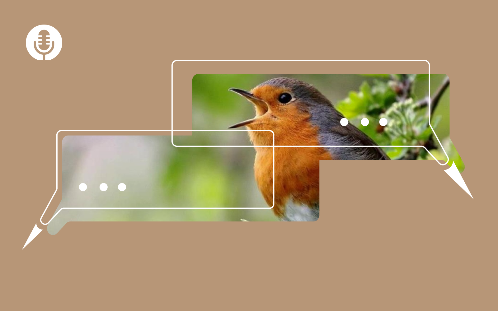 подкаст 9 (2)