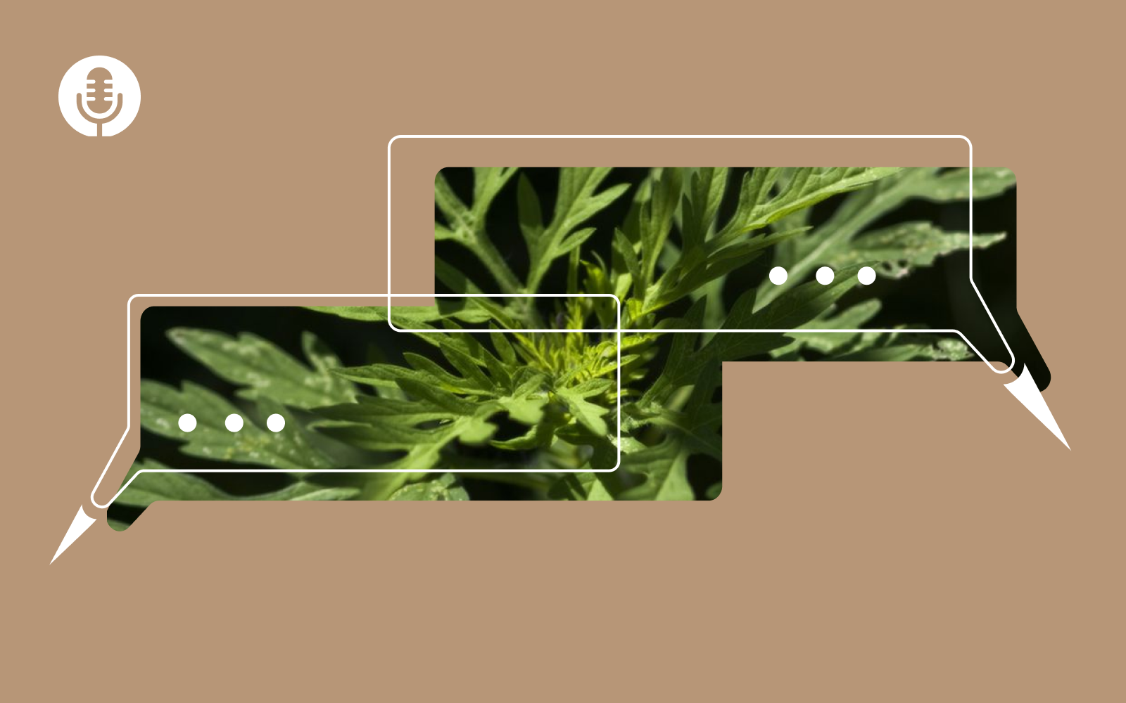 подкаст 2.8.21_2