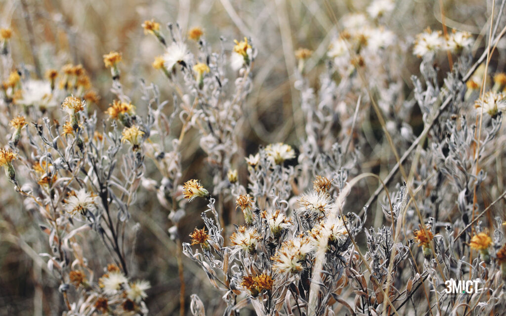 Це зображення має порожній атрибут alt; ім'я файлу 19-1024x640.jpg