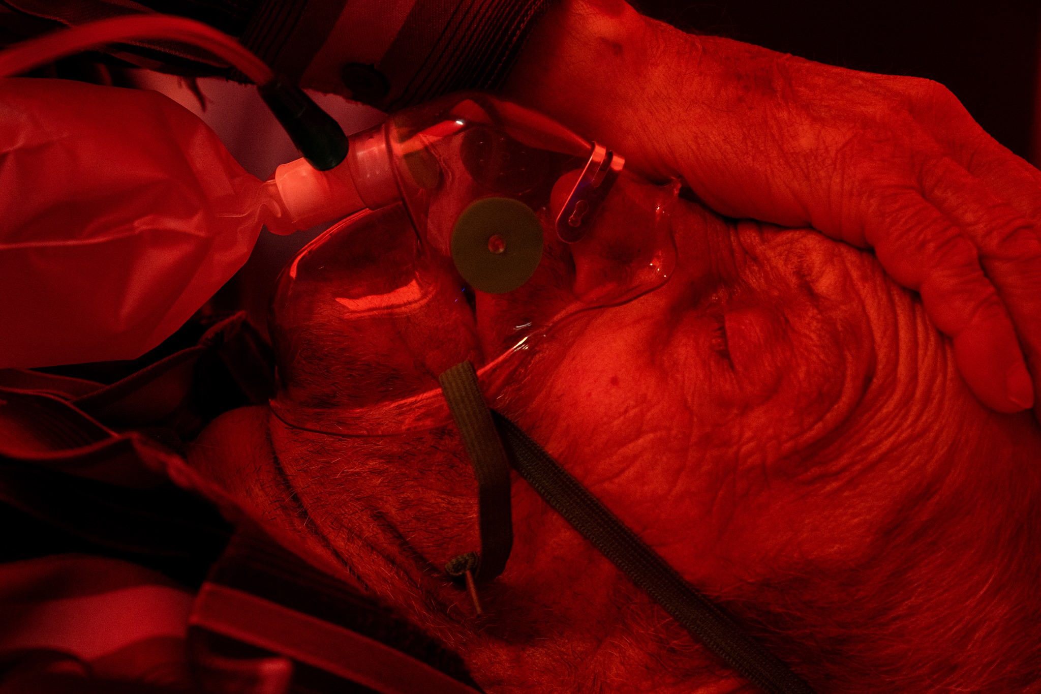 Ілюстративне фото