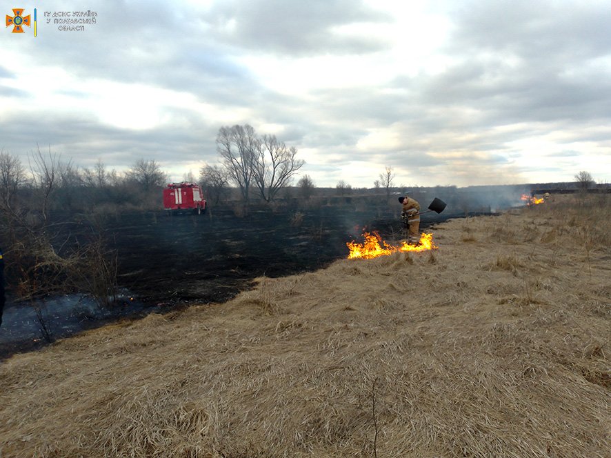 Ілюстративне фото