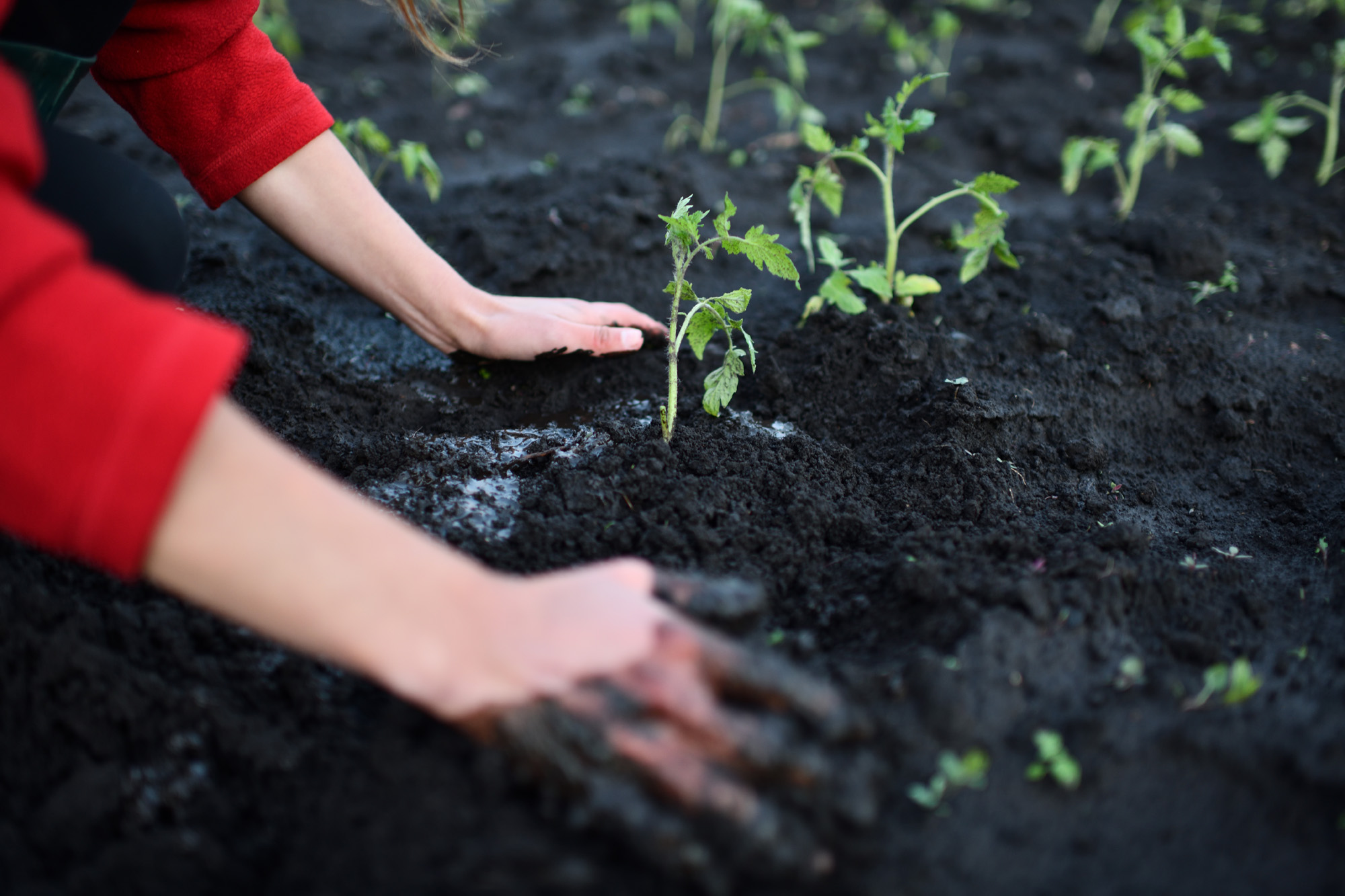 Ілюстративне фото