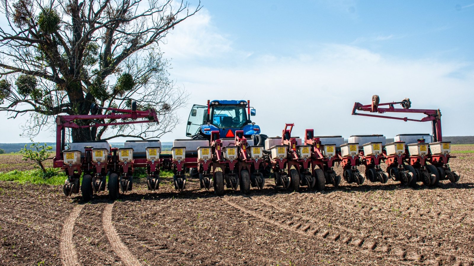 Ілюстративне фото