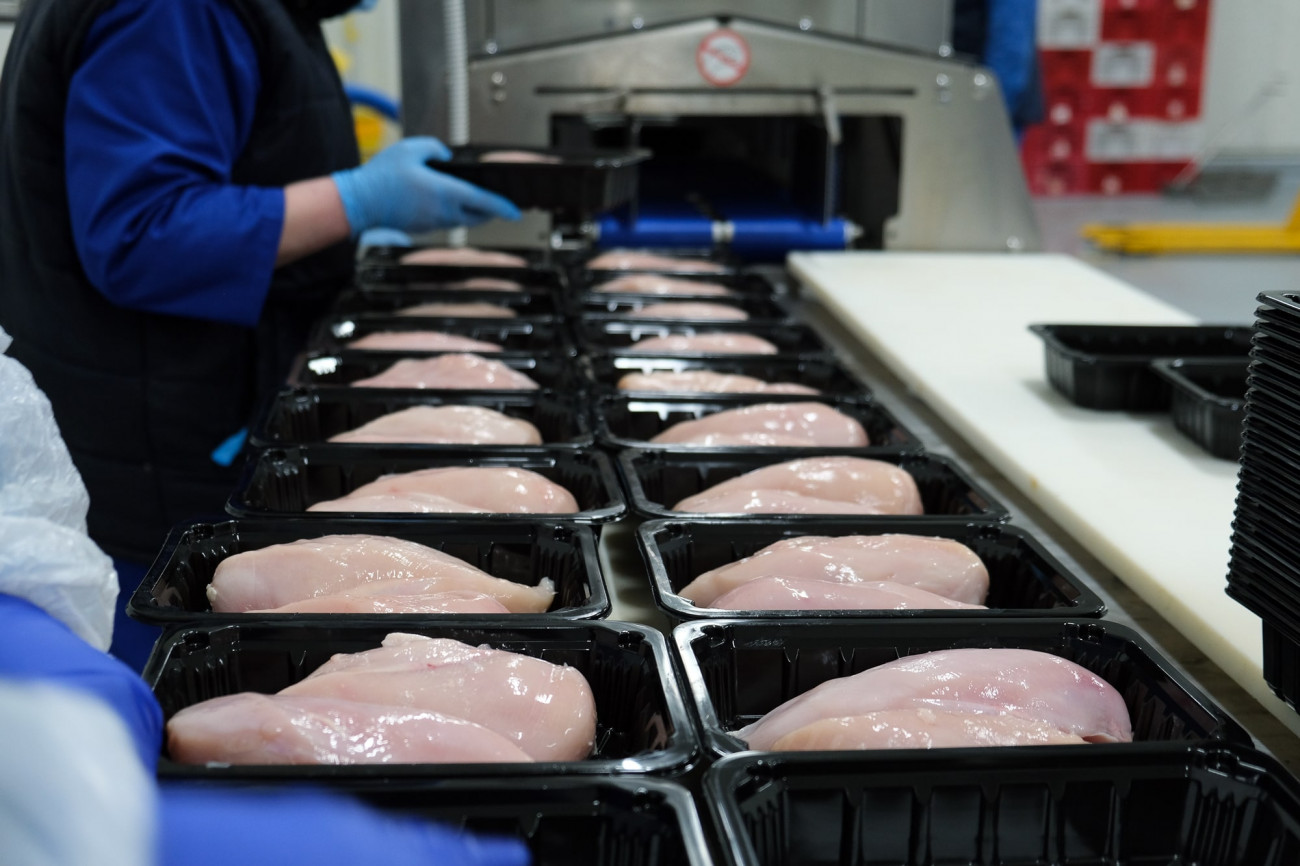 Ілюстративне фото