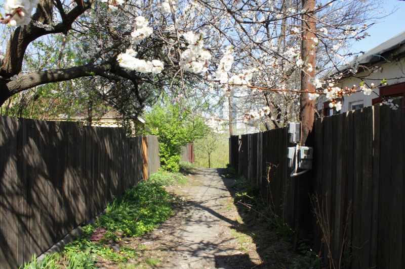 Ілюстративне фото