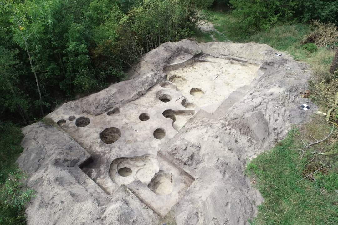 FB_IMG_1661059104622