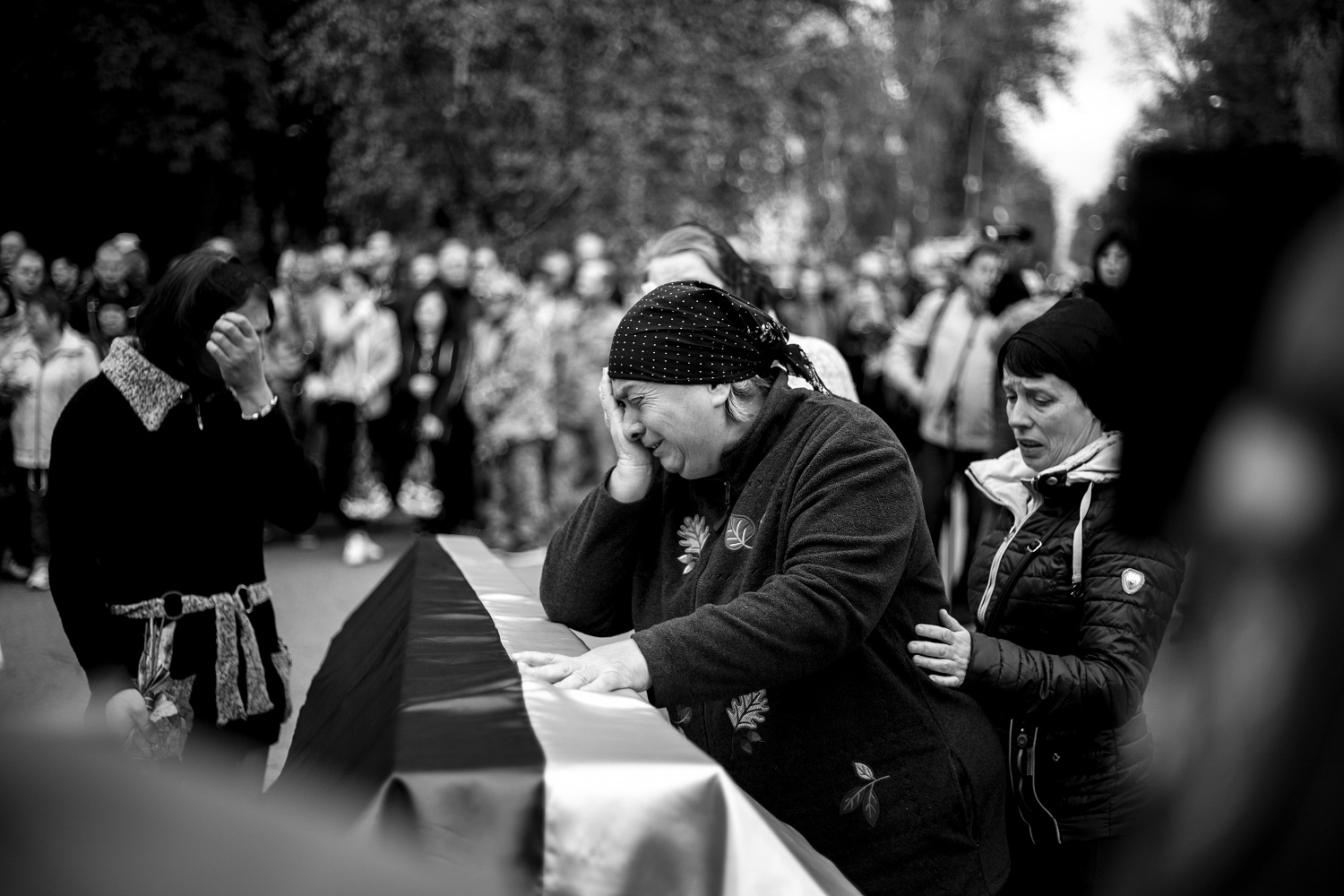 _MG_5512