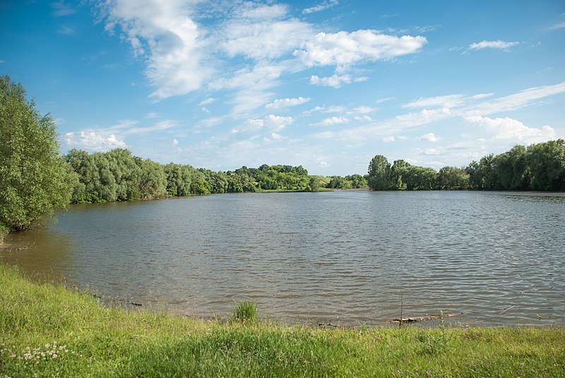 Ілюстративне фото