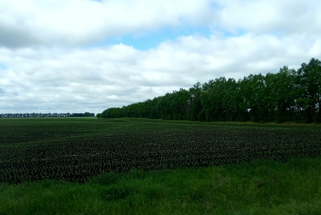 Ілюстративне фото