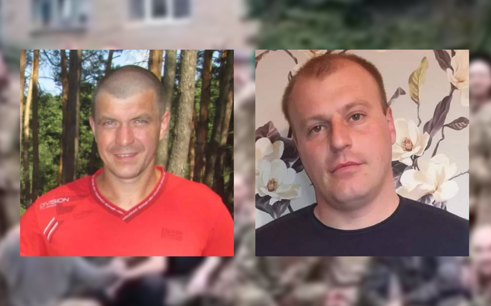 Колаж 12.10.22 1