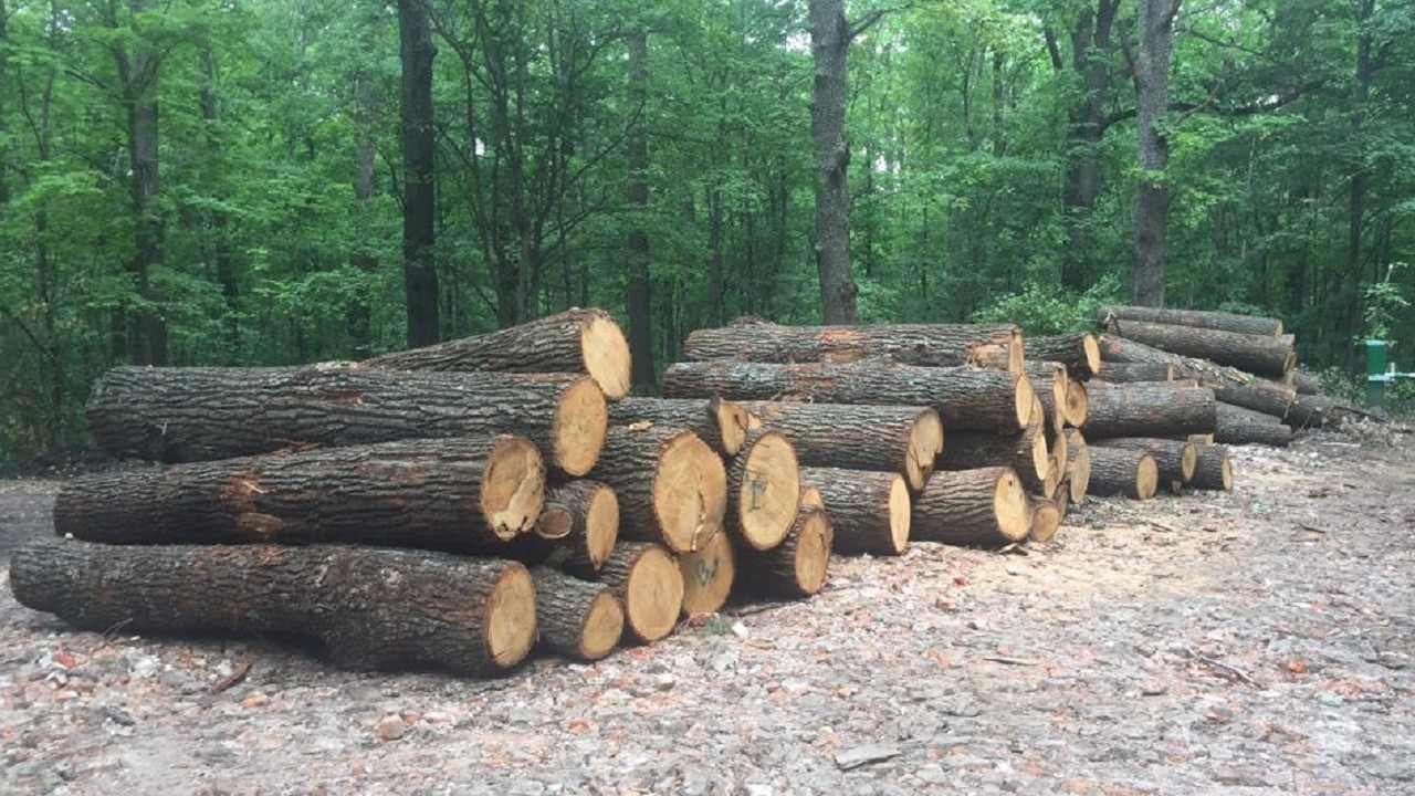 cca4890bc3558fe94014027e24268fe6