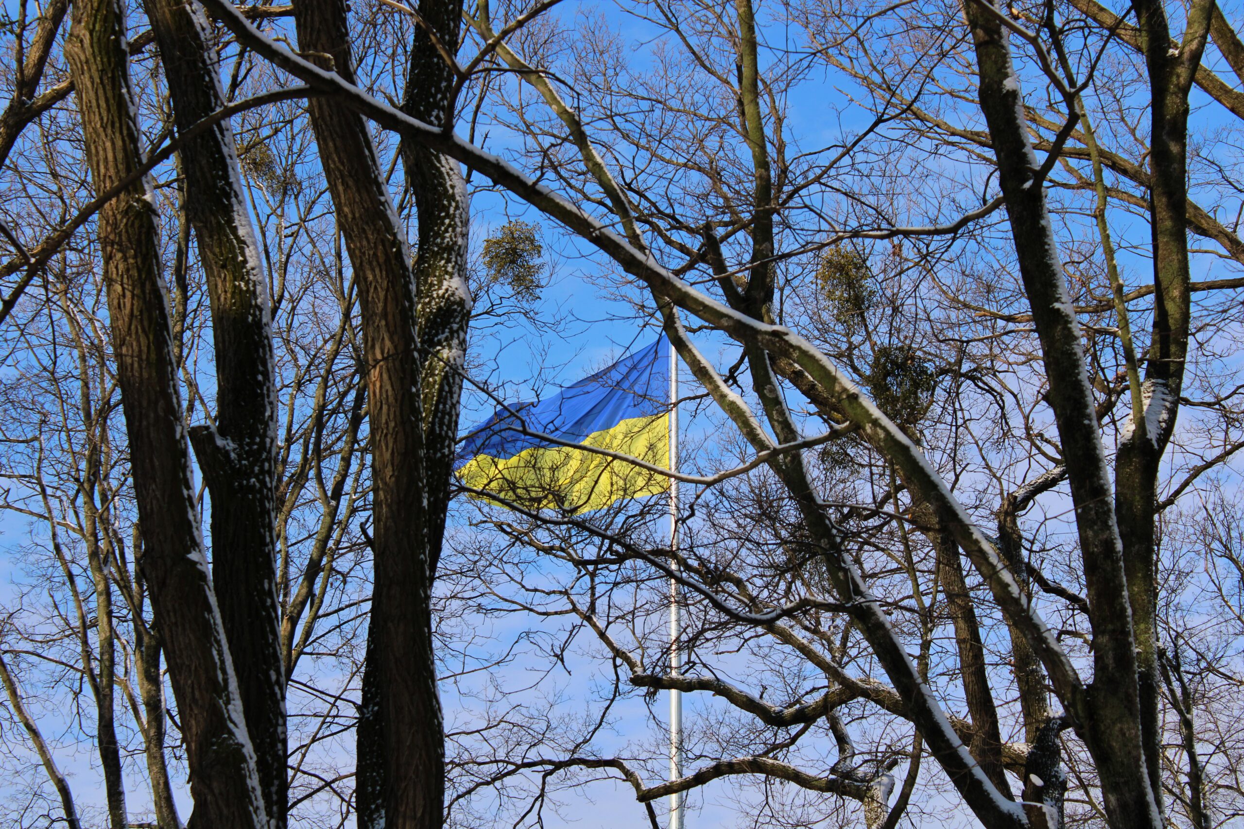 e0204a65-af42-4ab9-98ff-76d575af585b