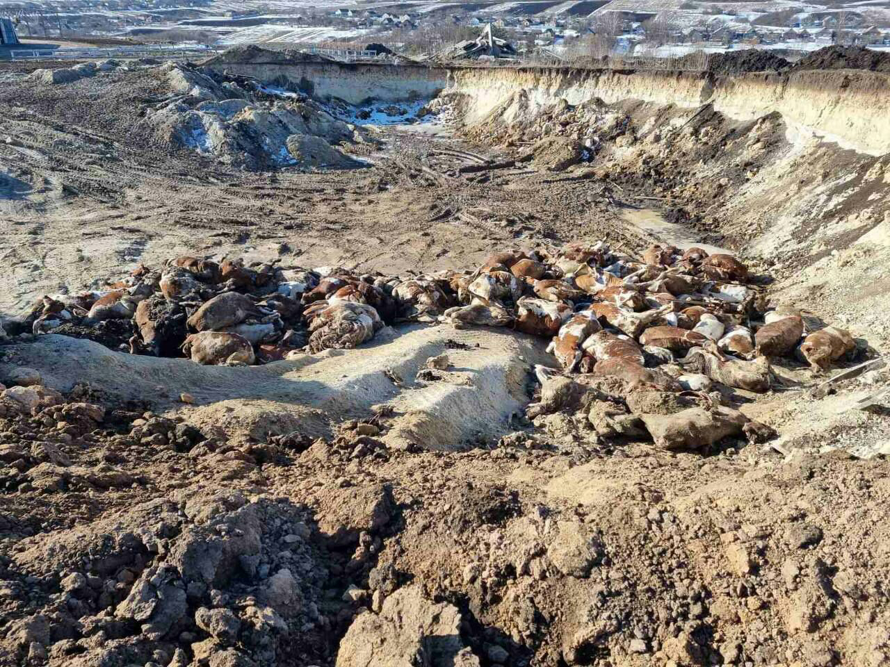 Ілюстративне фото