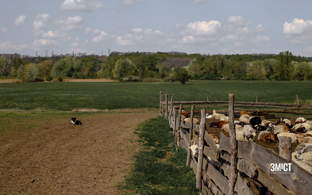 Ферма під Полтавою
