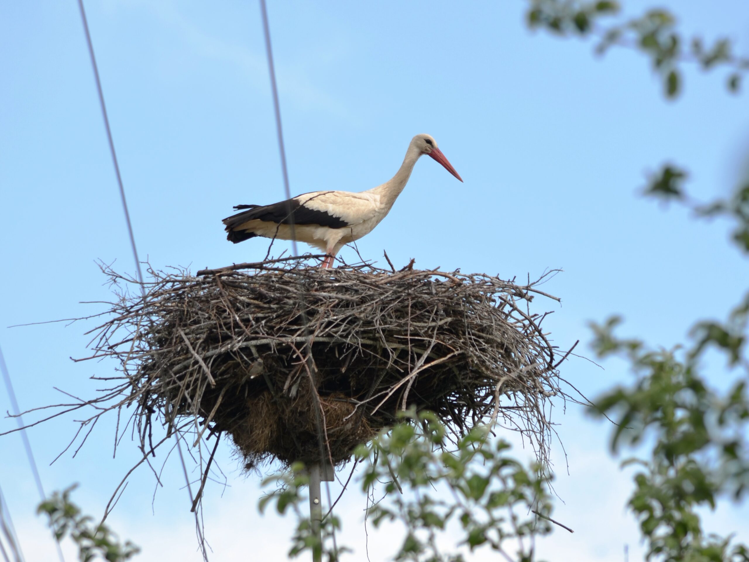 Ілюстративне фото