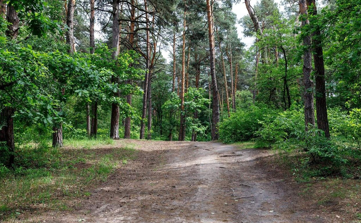 Ілюстративне фото