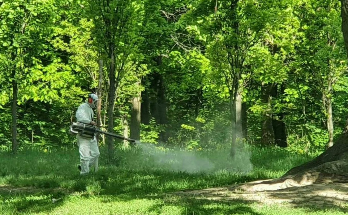 Ілюстративне фото