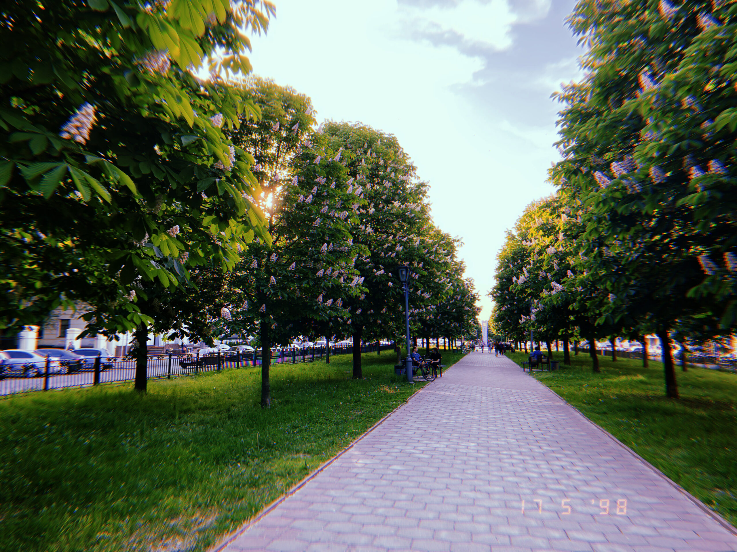 Каштанова алея у Полтаві