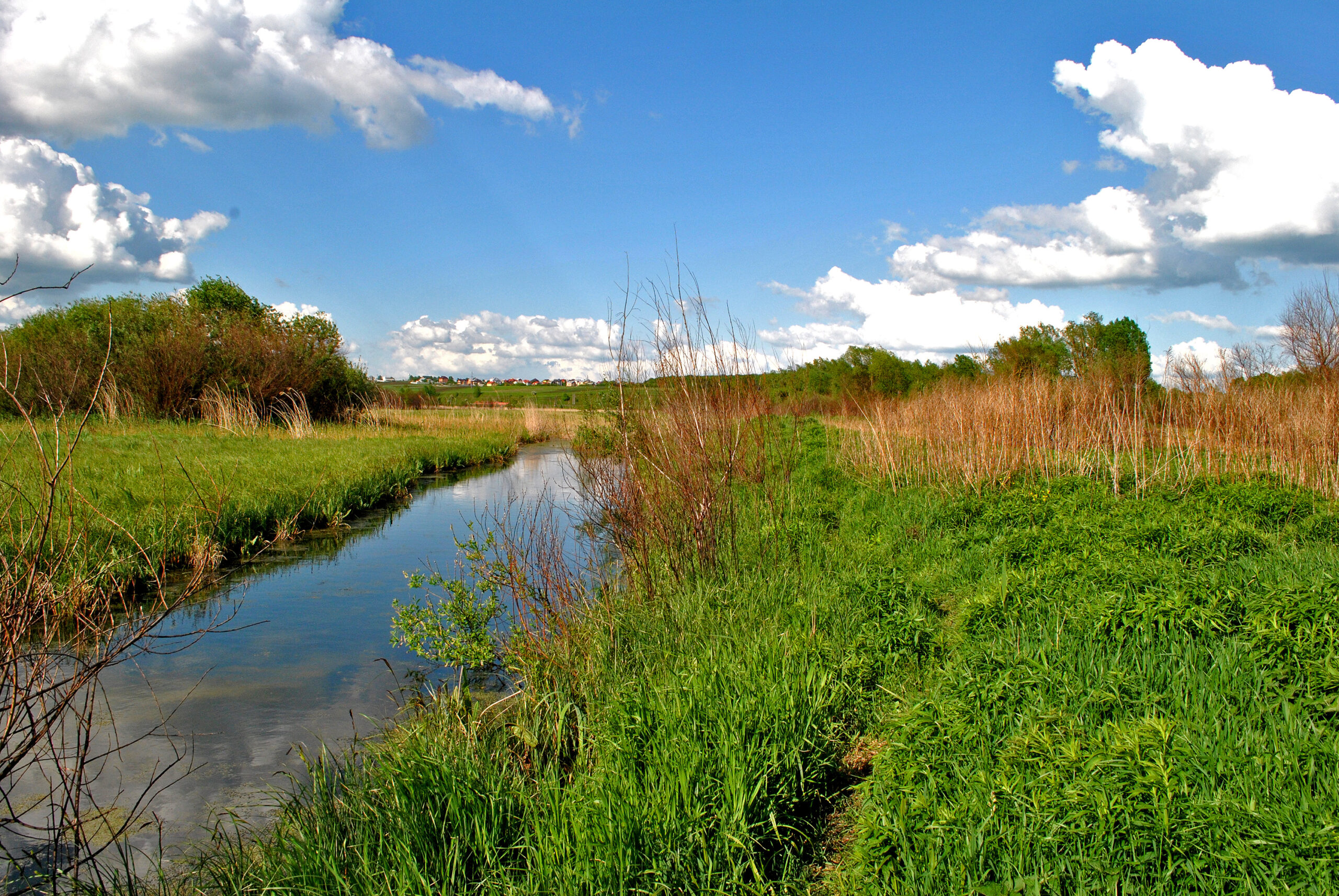 Ілюстративне фото