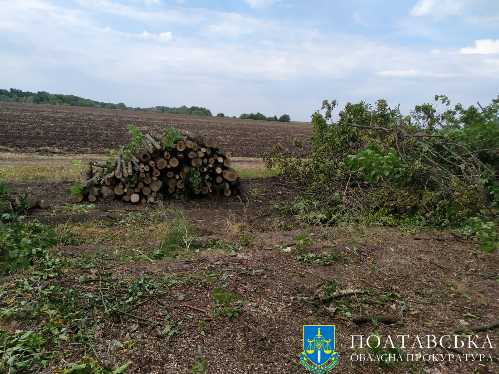 image_2023-06-08_12-04-03