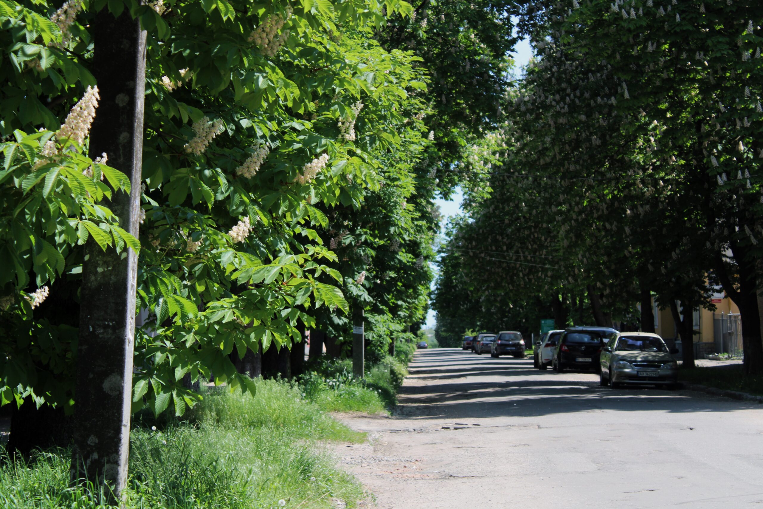 Ілюстративна світлина