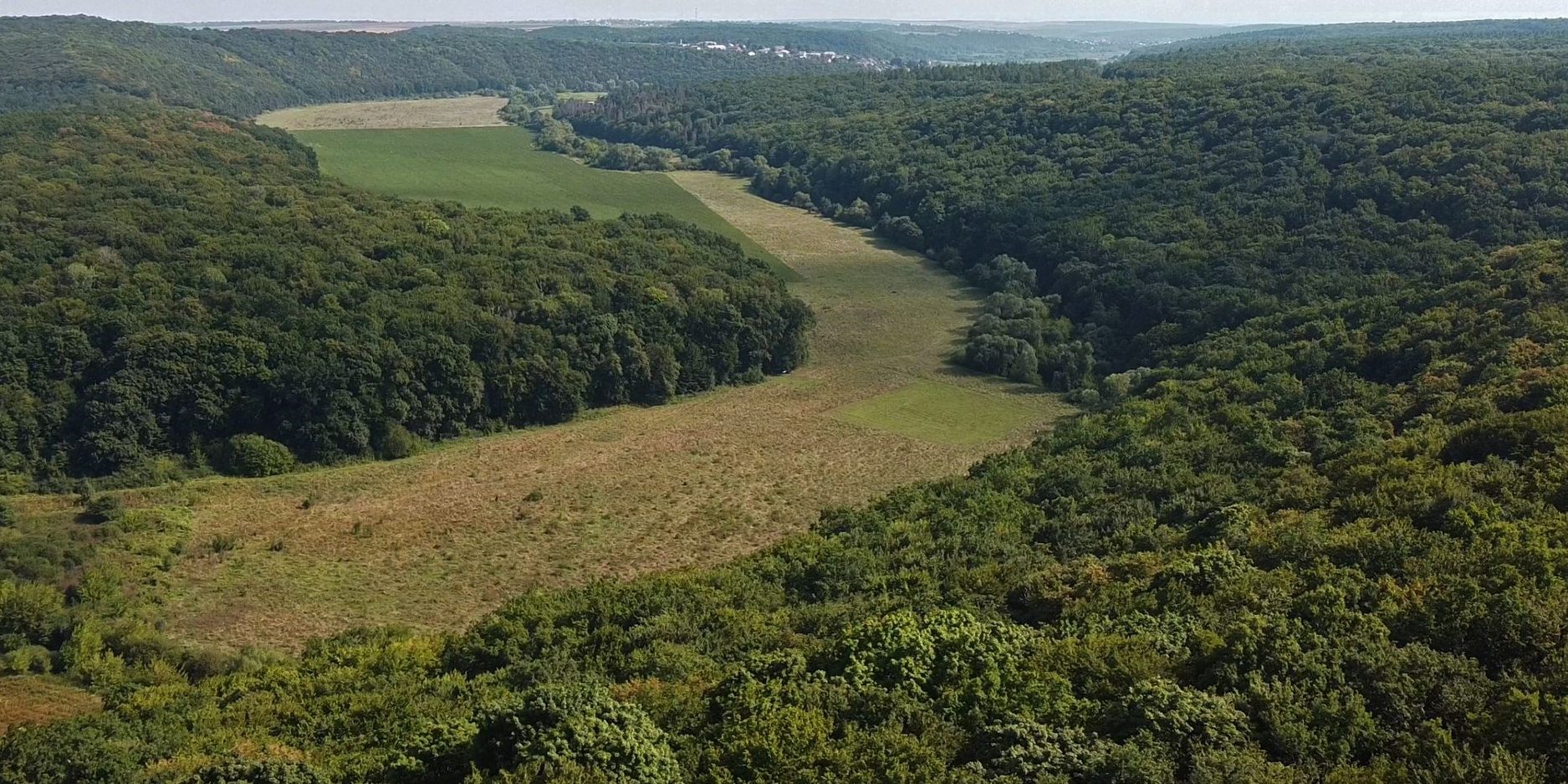 Ілюстративне фото
