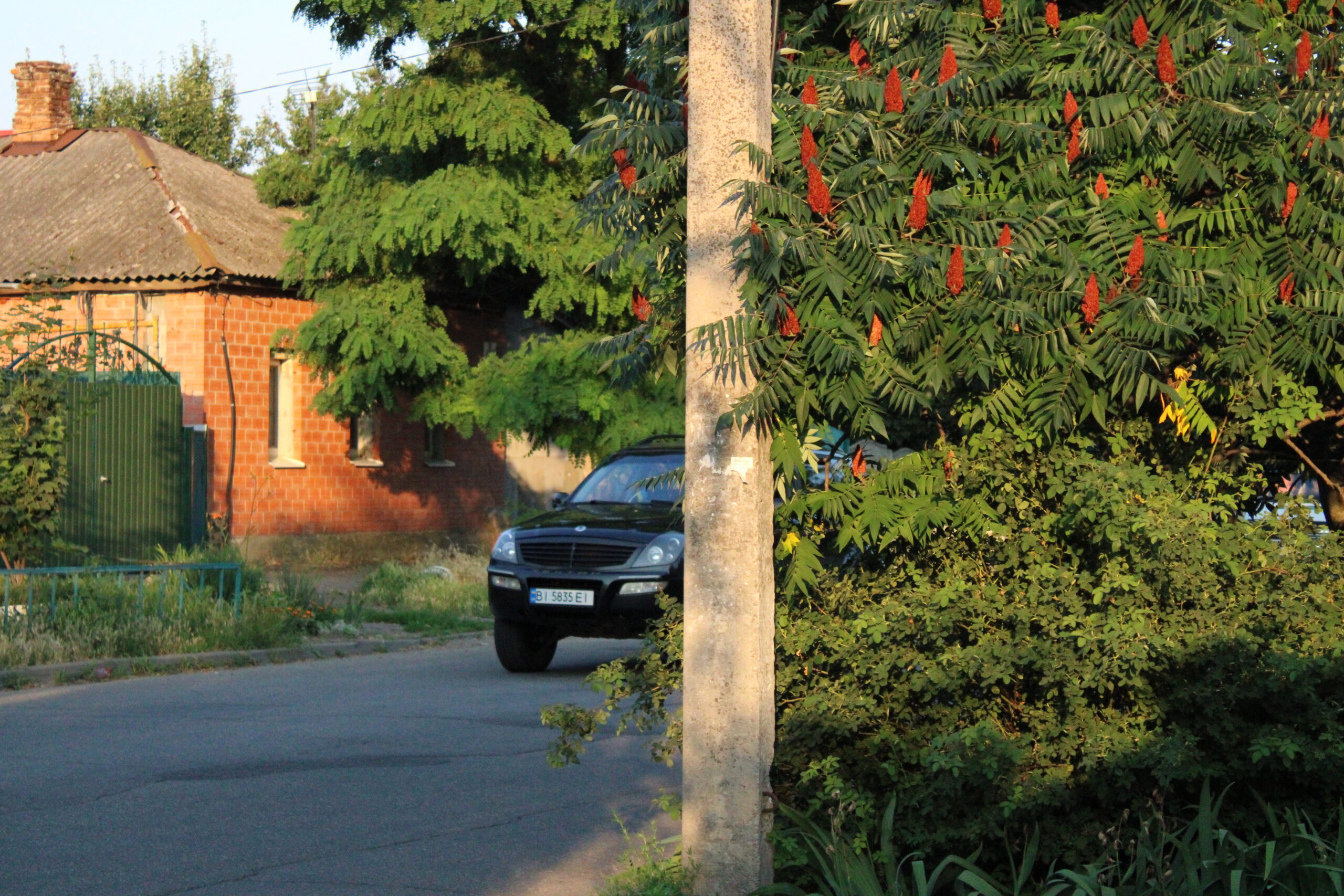 Ілюстративна світлина