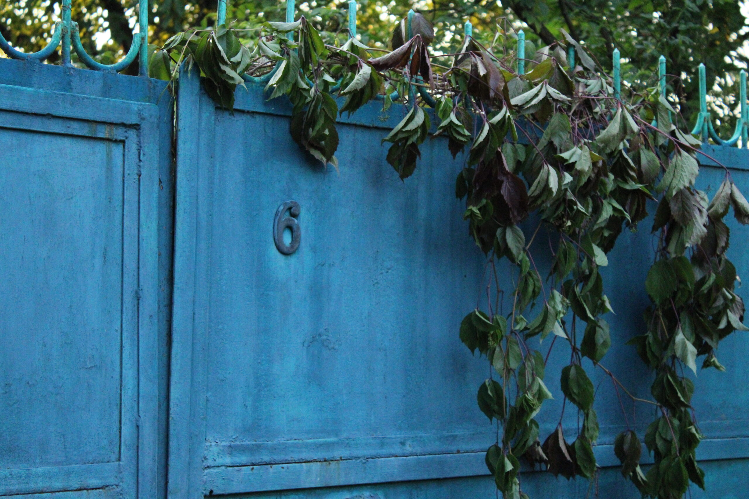 Ілюстративна світлина