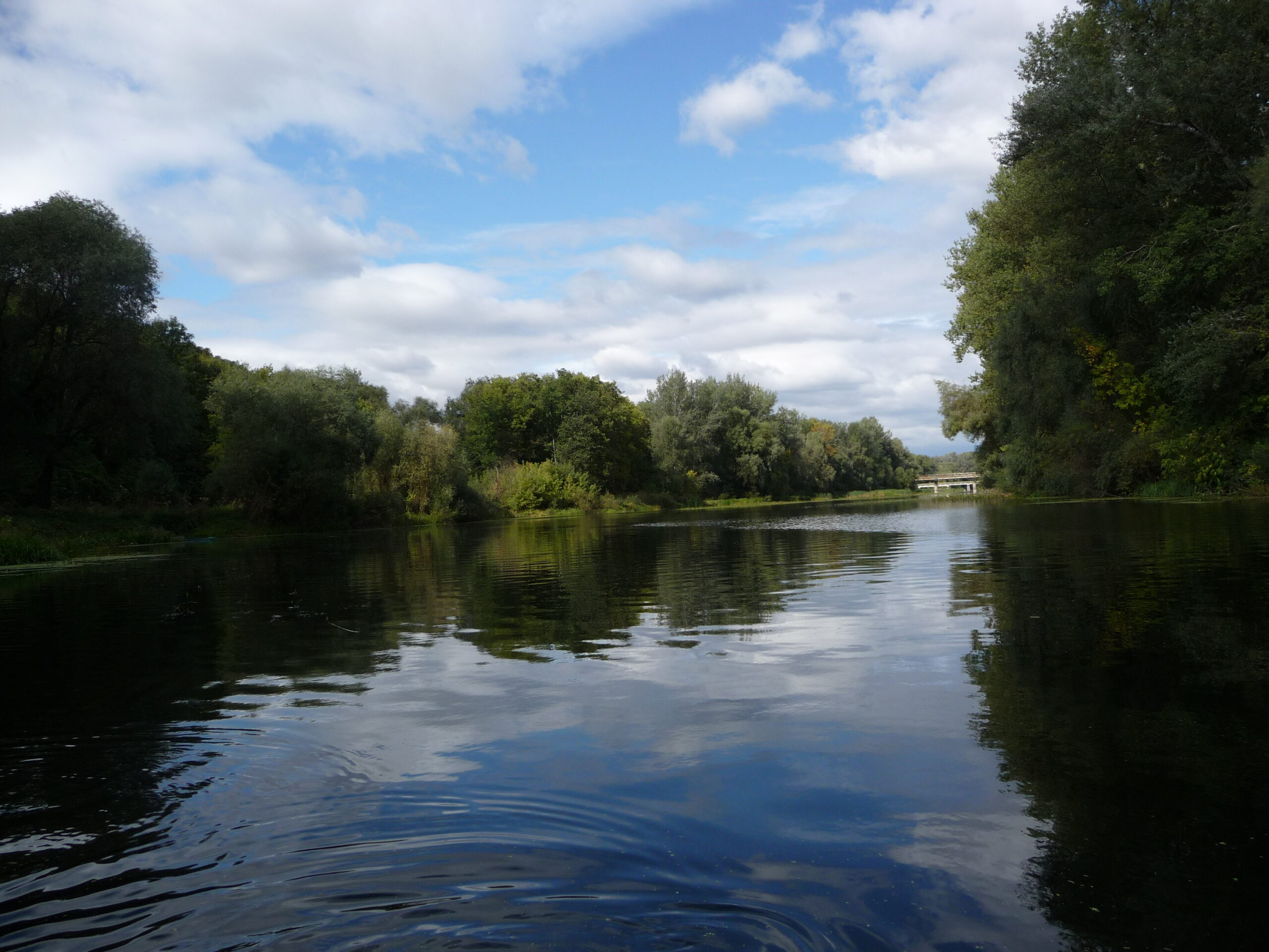 Ілюстративне фото