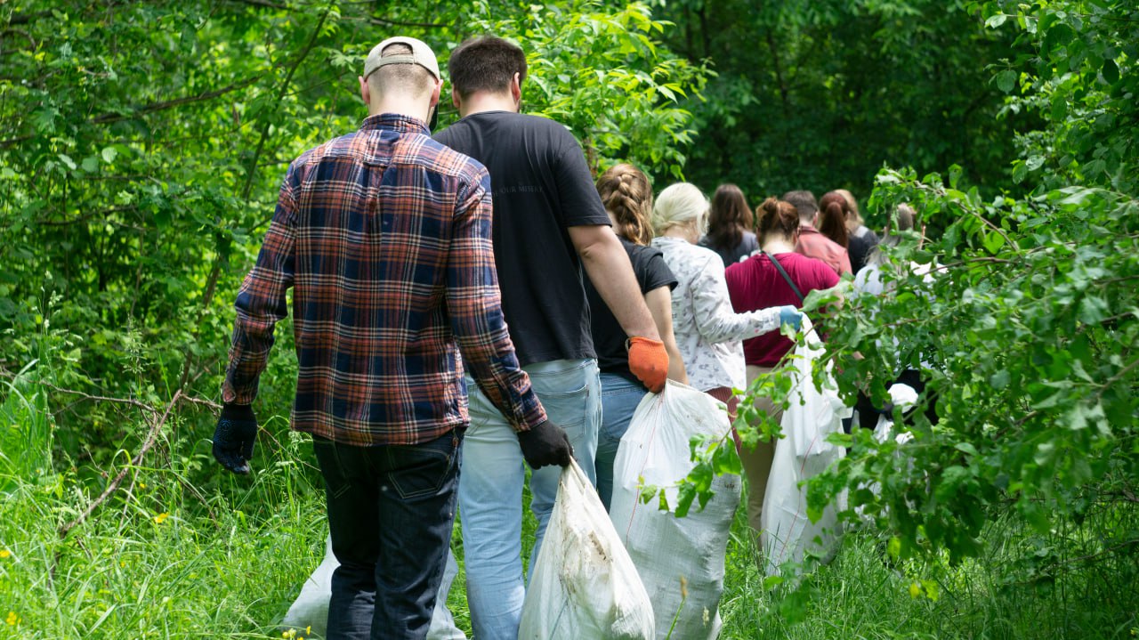 Ілюстративне фото. Толока в Прирічковому парку