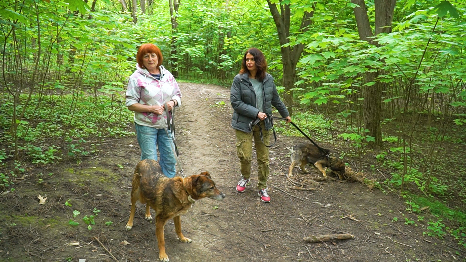 ПОБАЛАКАЄМО_Перетримка_собак_00_09_59_23_Still012