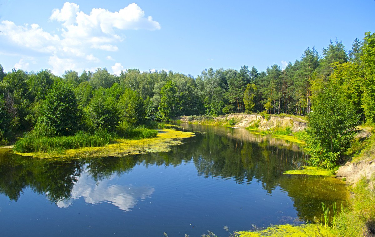 Ілюстративне фото