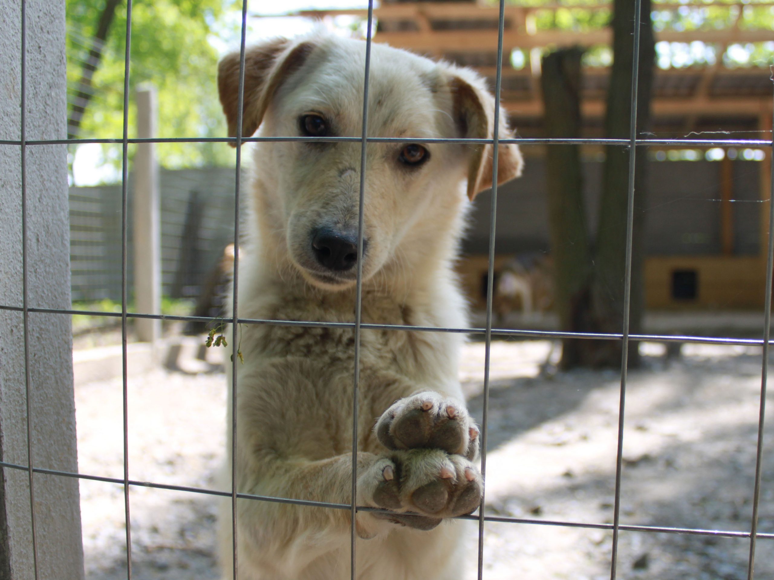 Ілюстративне фото