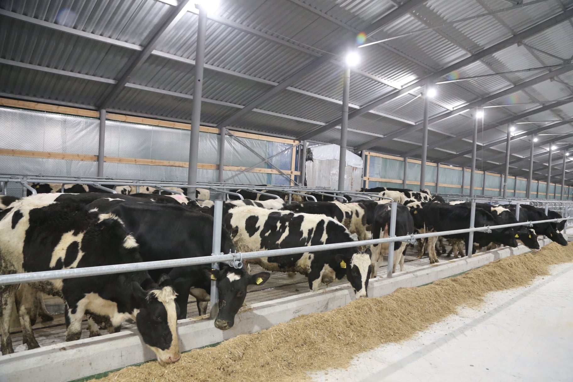 Ілюстративне фото