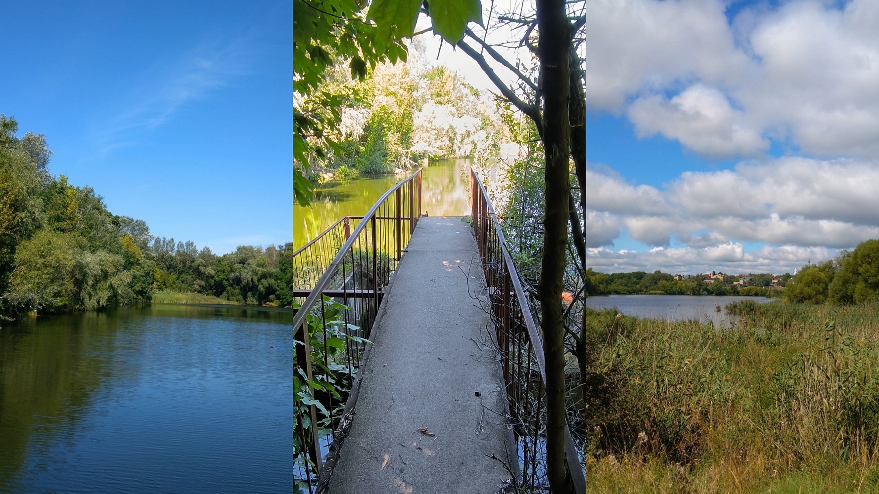 polish_20230815_111534954