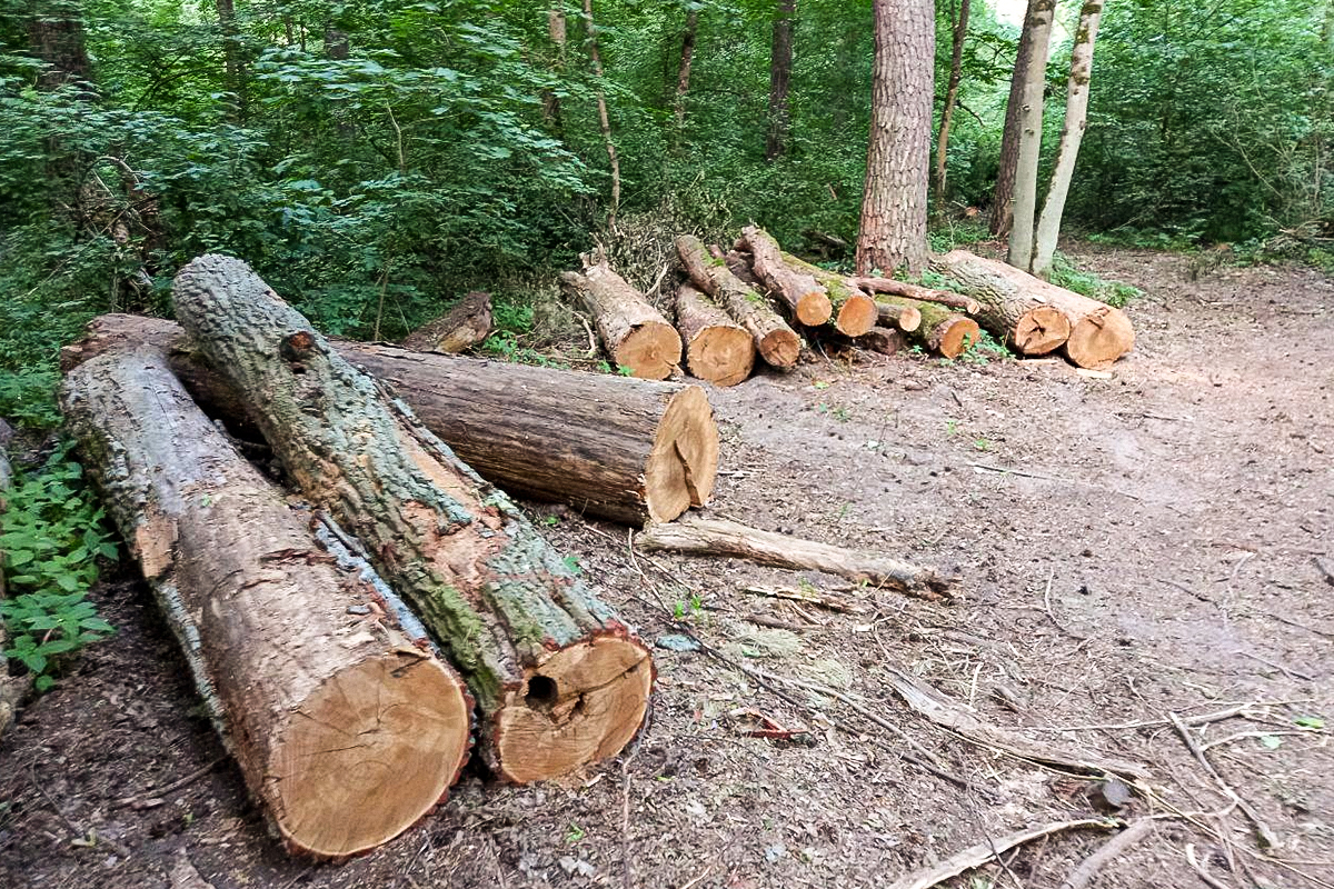 Ілюстративне фото