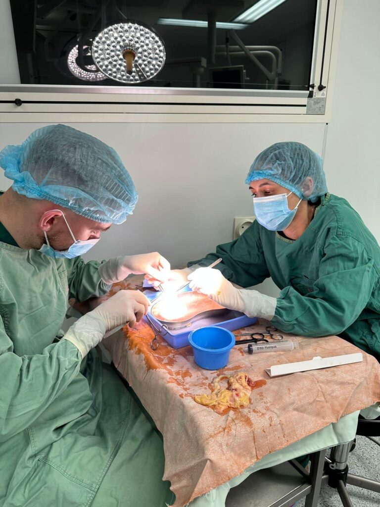 Трансплантація серця у Полтаві