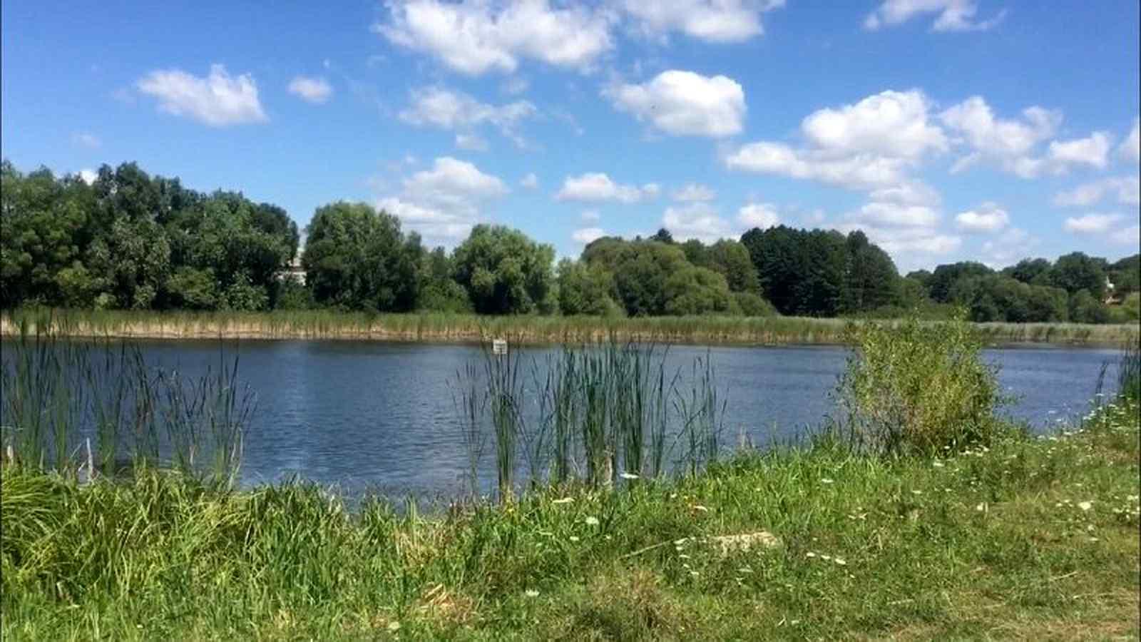 Ілюстративне фото