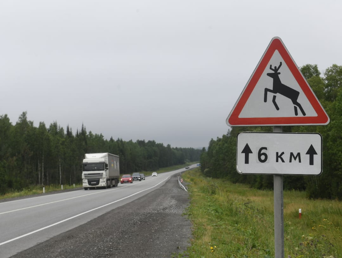 Ілюстративне фото